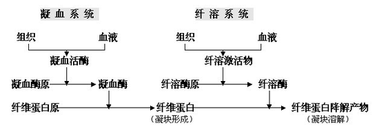 云南白药牙膏止血风波：功天博tb综合体育官方网站效牙膏未必有功效(图4)